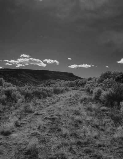 Recovered file: f6397351-72d1-4abe-91bf-f01c7f00e764-e1722450369448-400x516.jpg