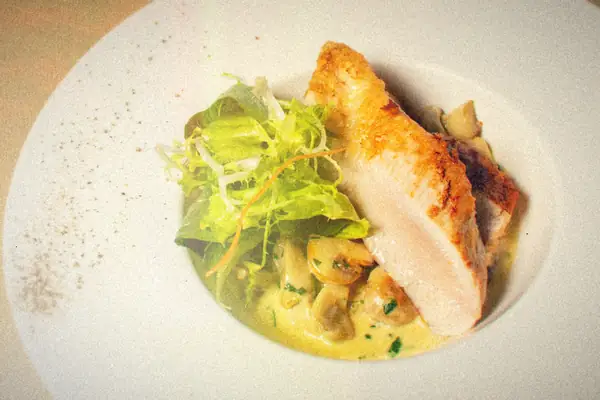 A seared chicken breast over creamy mushroom sauce with a small green salad in a white bowl.