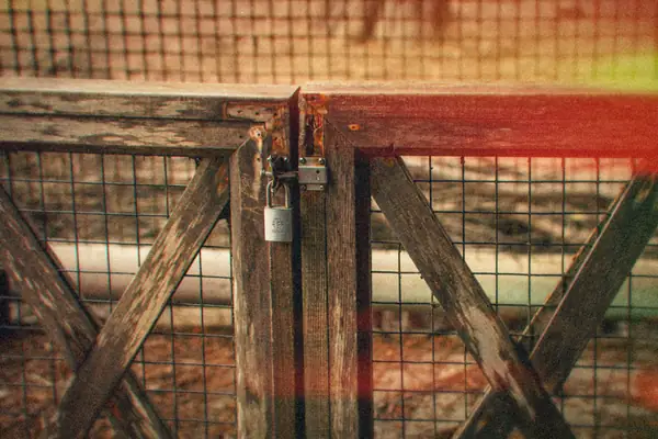 A padlock securing a weathered wooden farm gate.