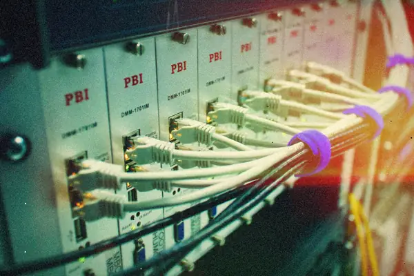 Rows of gray network cables plugged into a rack-mounted switch panel.